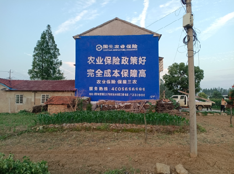 河口墙体广告的优劣势你知道吗？